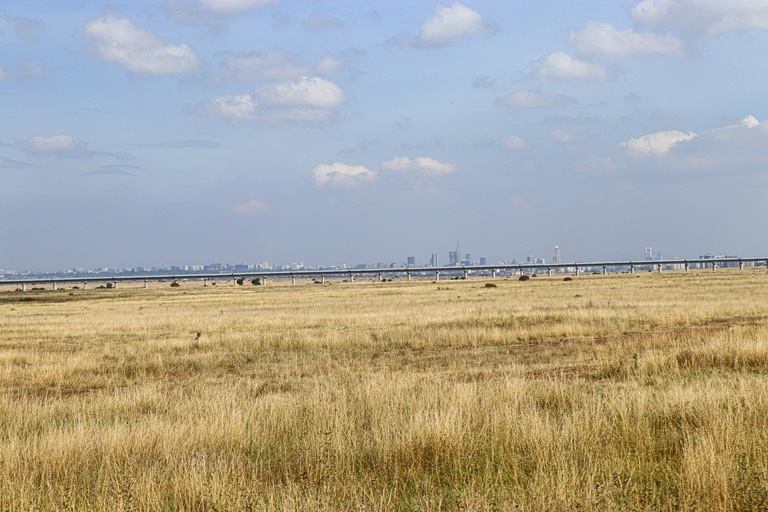 Park Narodowy Nairobi, Centrum Żyraf, sierociniec i wycieczka Bomas