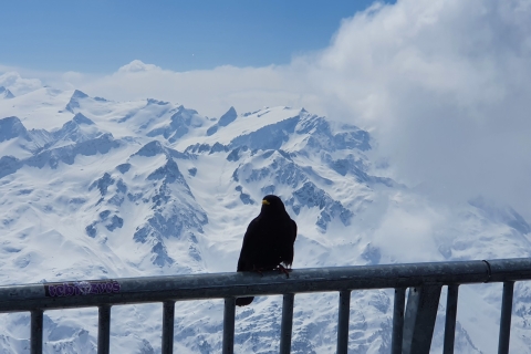 Mount Titlis Glacier Excursion Private Tour vanuit LuzernVanuit Luzern: Titlis Glacier Day Tour met privégids
