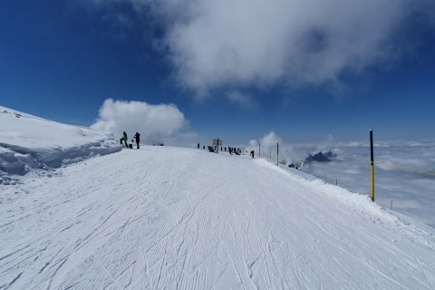 Prywatna wycieczka na lodowiec Mount Titlis z ZurychuJednodniowa wycieczka z Zurychu