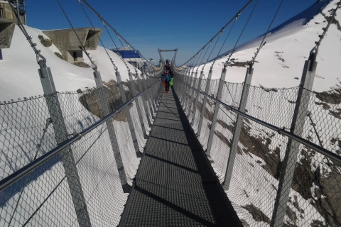 Excursión Privada al Glaciar del Monte Titlis desde BasileaExcursión de un día desde Basilea