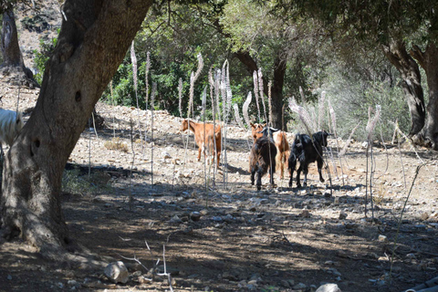 Südkreta: Land Rover Safari mit Mittagessen und Wein