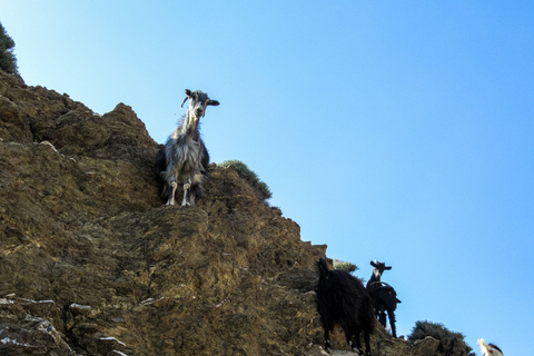 Southern Crete: Land Rover Safari With Lunch and Wine