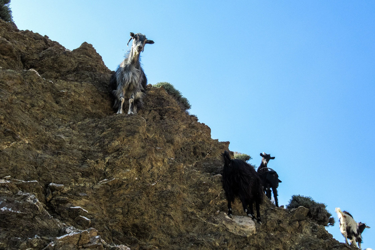 Southern Crete: Land Rover Safari With Lunch and Wine