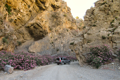 Creta meridionale: safari in Land Rover con pranzo e vino