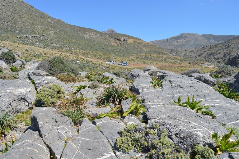 Sur de Creta: Land Rover Safari con almuerzo y vino