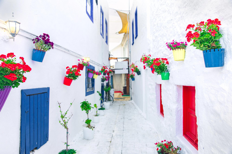 For Cruisers: Guided Bodrum Tour with Castle and Windmills
