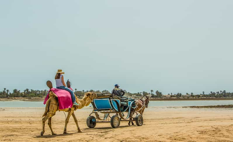 djerba tour