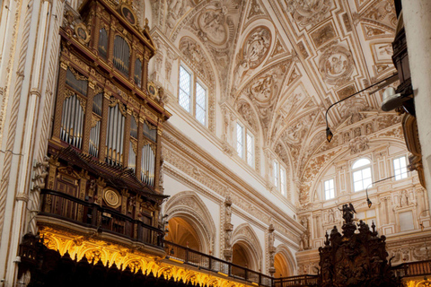 Tour privato della Mezquita di 1 ora