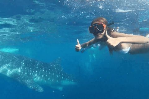 Cebu: Tour di gruppo di Oslob Whaleshark e Canyoneering con pranzo