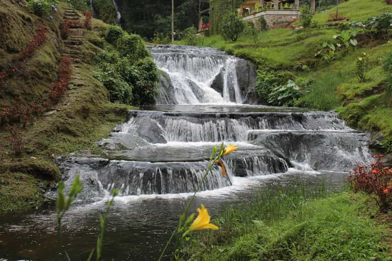 Excursión a la Finca de Café y a las Termas de Santa Rosa de Cabal