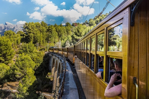 Z Alcúdii: półdniowa wycieczka pociągiem i tramwajem SollerPółdniowa wycieczka pociągiem i tramwajem Soller