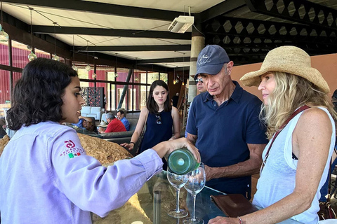 Da San Diego: tour privato di degustazione di vini della Valle de Guadalupe