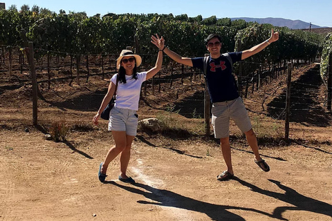 Från San Diego: Valle de Guadalupe privat vinprovningstur