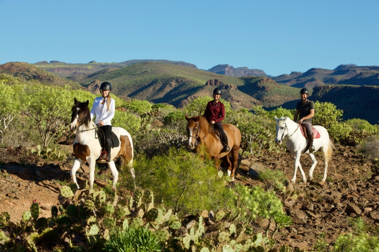 Gran Canaria: excursión montando a caballoExcursión de 1 hora con recogida y regreso al hotel
