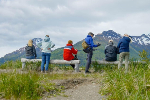 Bear Viewing Tour from Homer, Alaska