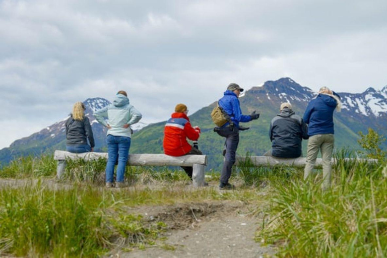 Bear Viewing Tour from Homer, Alaska
