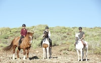 El Salobre, Horse Riding Adventure with Transfer Options - Housity