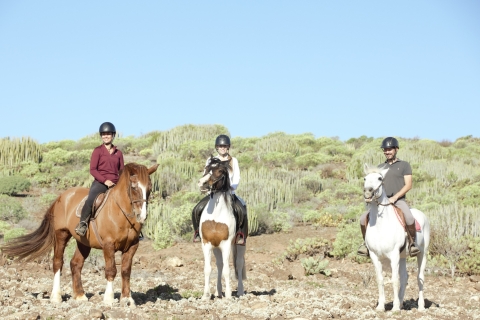 Gran Canaria: Horse Riding Excursion 2-Hour Excursion with Hotel Pickup and Drop-Off