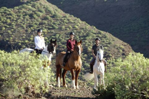Gran Canaria: excursión montando a caballo
