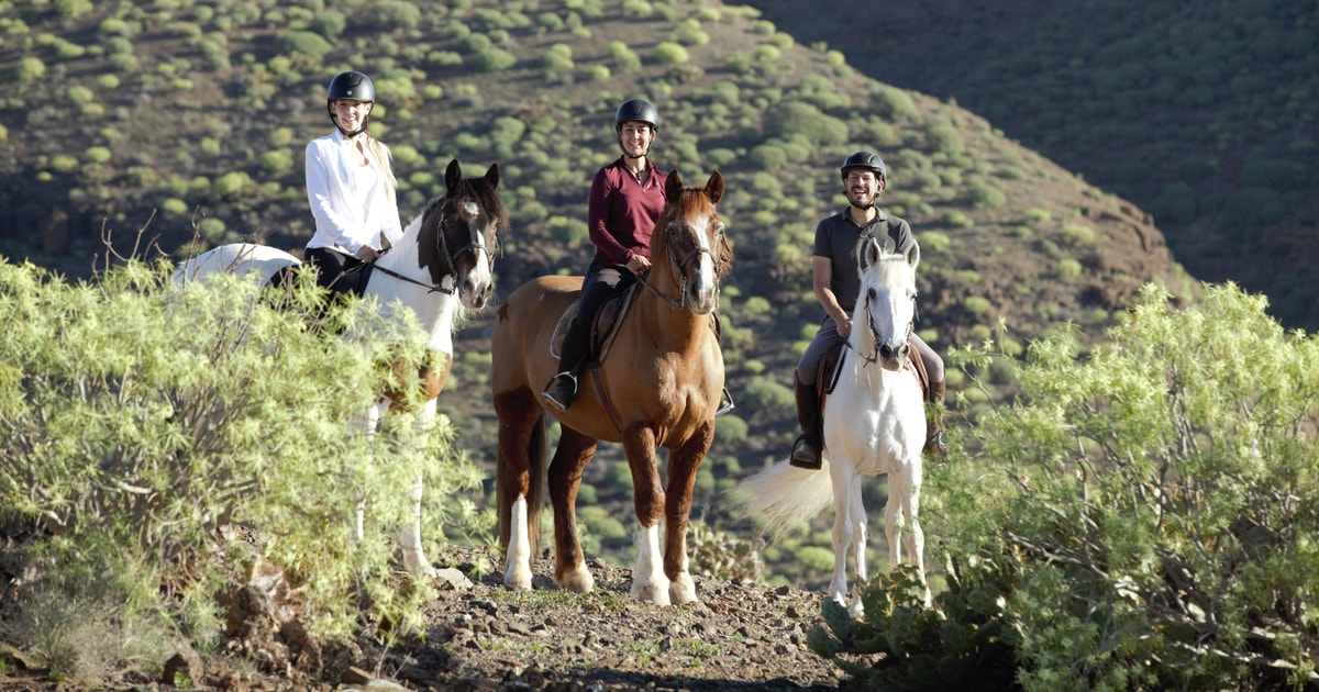 El Salobre : aventure à cheval avec options de transfert | GetYourGuide