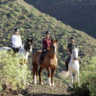 Gran Canaria: Horse Riding Excursion