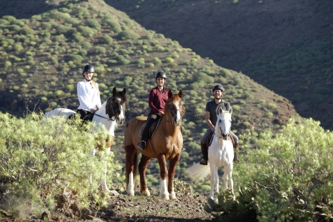 Gran Canaria: paardrijexcursieExcursie van 1 uur met vervoer van en naar het hotel