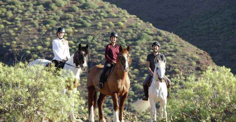 El Salobre: Aventura a caballo con opciones de traslado