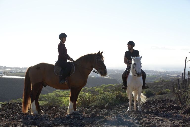 Gran Canaria: paardrijexcursieExcursie van 1 uur met vervoer van en naar het hotel
