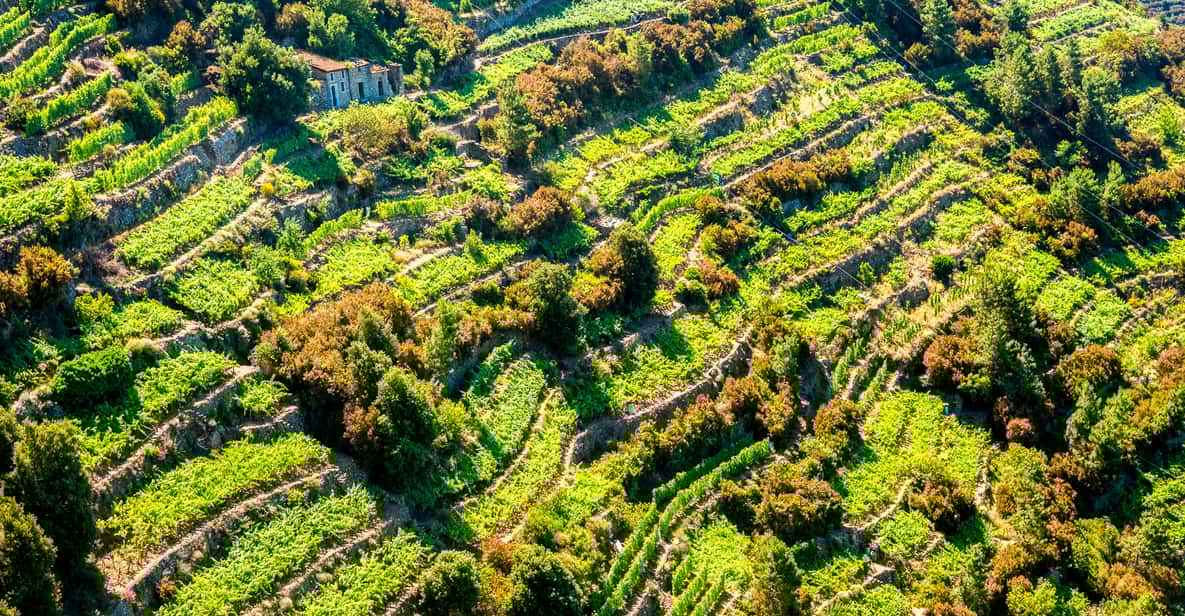 Florence: Cinque Terre Day Trip with Optional Hike and Lunch