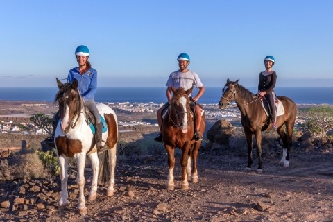 Gran Canaria: Horse Riding Excursion 1-Hour Excursion with Meeting Point