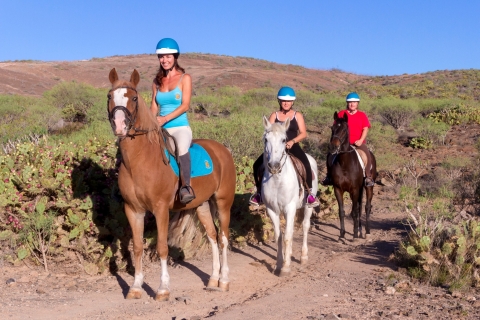 Gran Canaria : Excursion à chevalExcursion de 2 heures avec point de rencontre