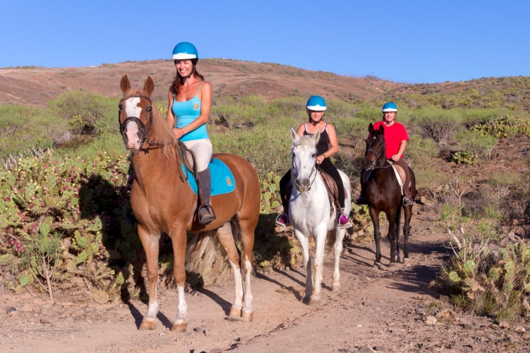 Gran Canaria: paardrijexcursieExcursie van 1 uur met ontmoetingspunt
