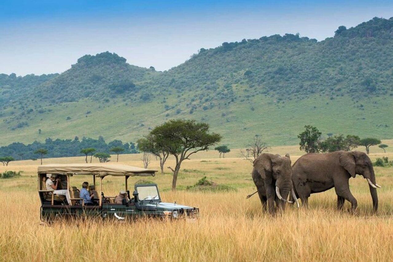 Ab Nairobi: 4-tägige Masai Mara & Lake Nakuru Camping-Safari
