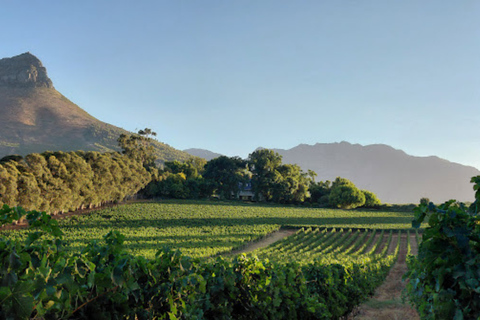Cape Town: 2-Day Private Tour with Penguins, Safari & Wines