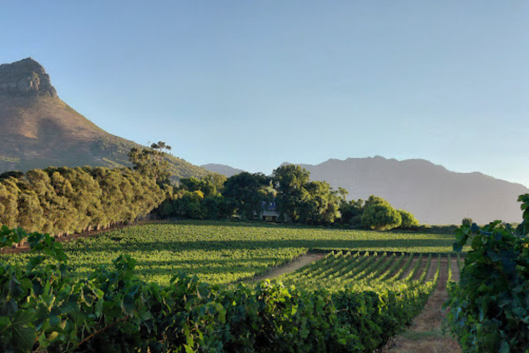 Cape Town: 2-Day Private Tour with Penguins, Safari & Wines