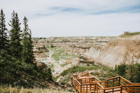 Drumheller: Hoodoos & Dinosaur Museum Day Trip from Calgary
