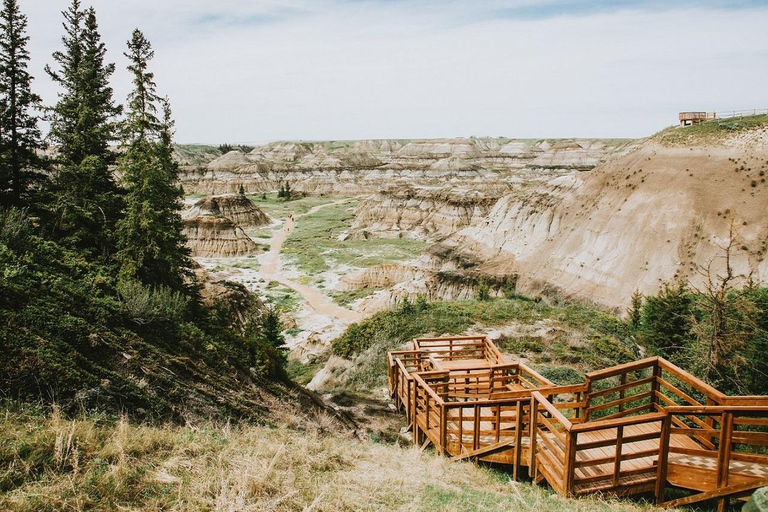 Drumheller: Hoodoos & Dinosaur Museum Day Trip from Calgary