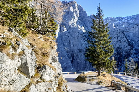 Z Monachium: Prywatna jednodniowa wycieczka w Alpy Berchtesgaden