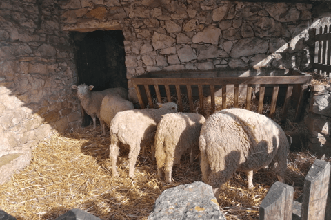 Portugal: Fatima, Aljustrel & Valinhos Ausflug mit PicknickPortugal: Private Tagestour nach Fatima, Aljustrel und Valinhos