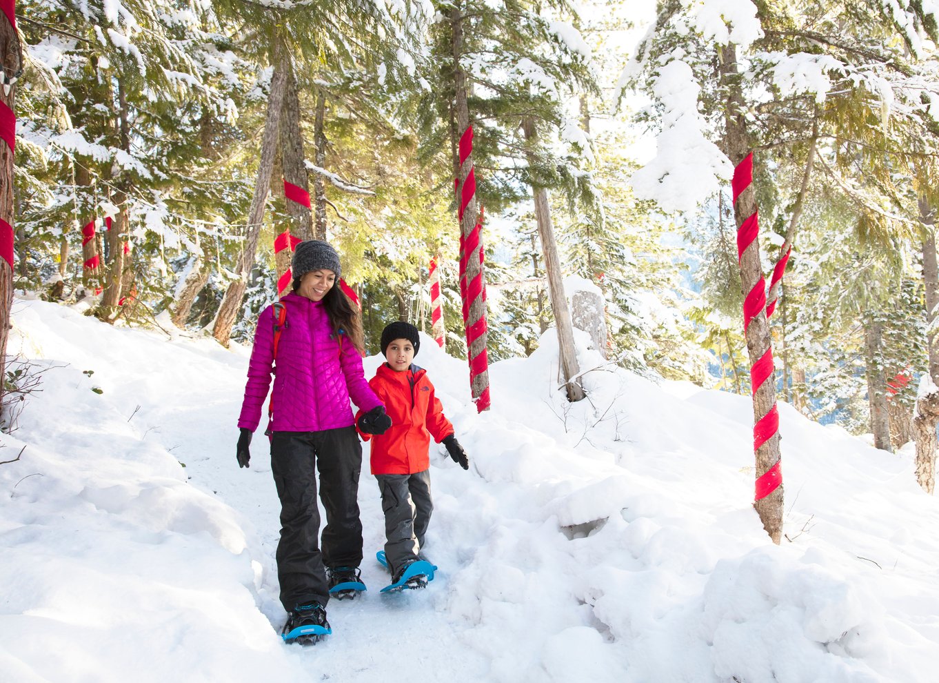 Squamish: Adgangsbillet til Sea to Sky Gondola