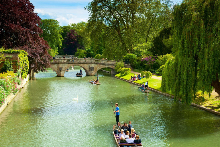 London: Cambridge Day Trip with Great St Mary's Church Tower