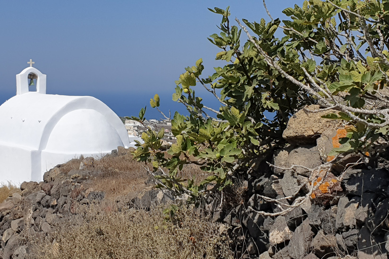 Santorin : randonnée dans la caldeira de Fira à Oia