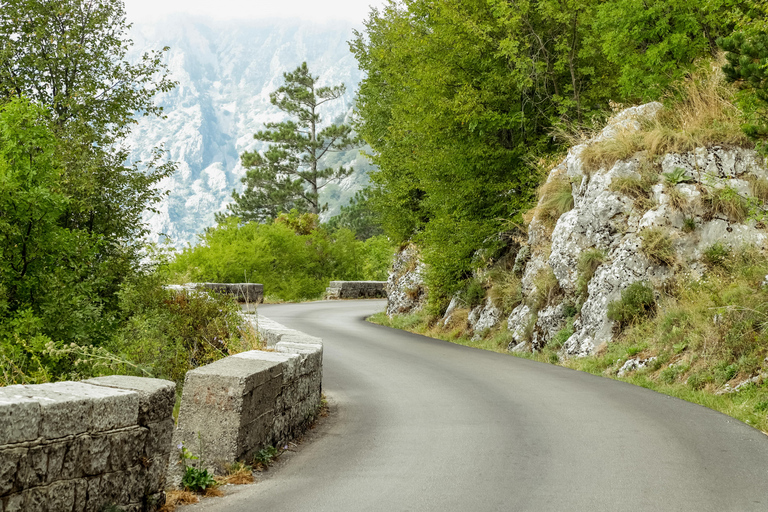 Kotor : Visite privée à pied de Lovcen et de la vieille ville de Kotor