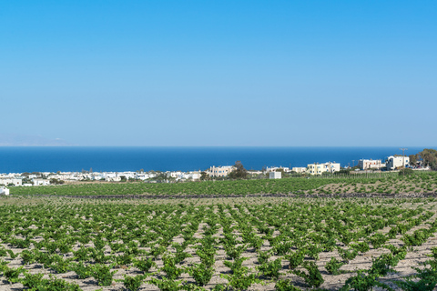 Santorini: rondleiding door wijnmakerijen met wijnproeverijenSantorini Wineries Tour met cruiseschip ophalen