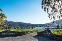Santorini, Tour privada de bodegas guiadas con degustaciones de vinos - Housity