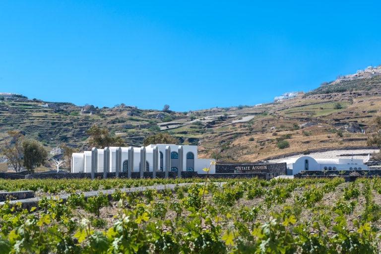 Santorin: Geführte Weinkellerei-Tour mit WeinverkostungSantorini Wineries Tour mit Flughafenabholung