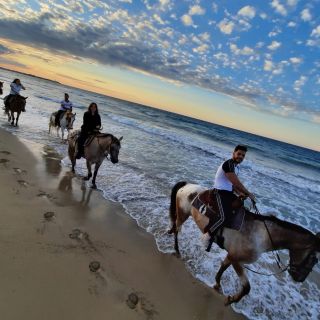 Apulia: Horseback Riding Trip in Parco Dune Costiere