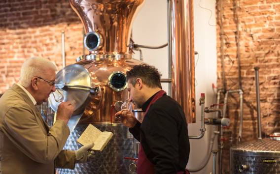 Genever & Liquer Tasting mit einem Distillery Besuch