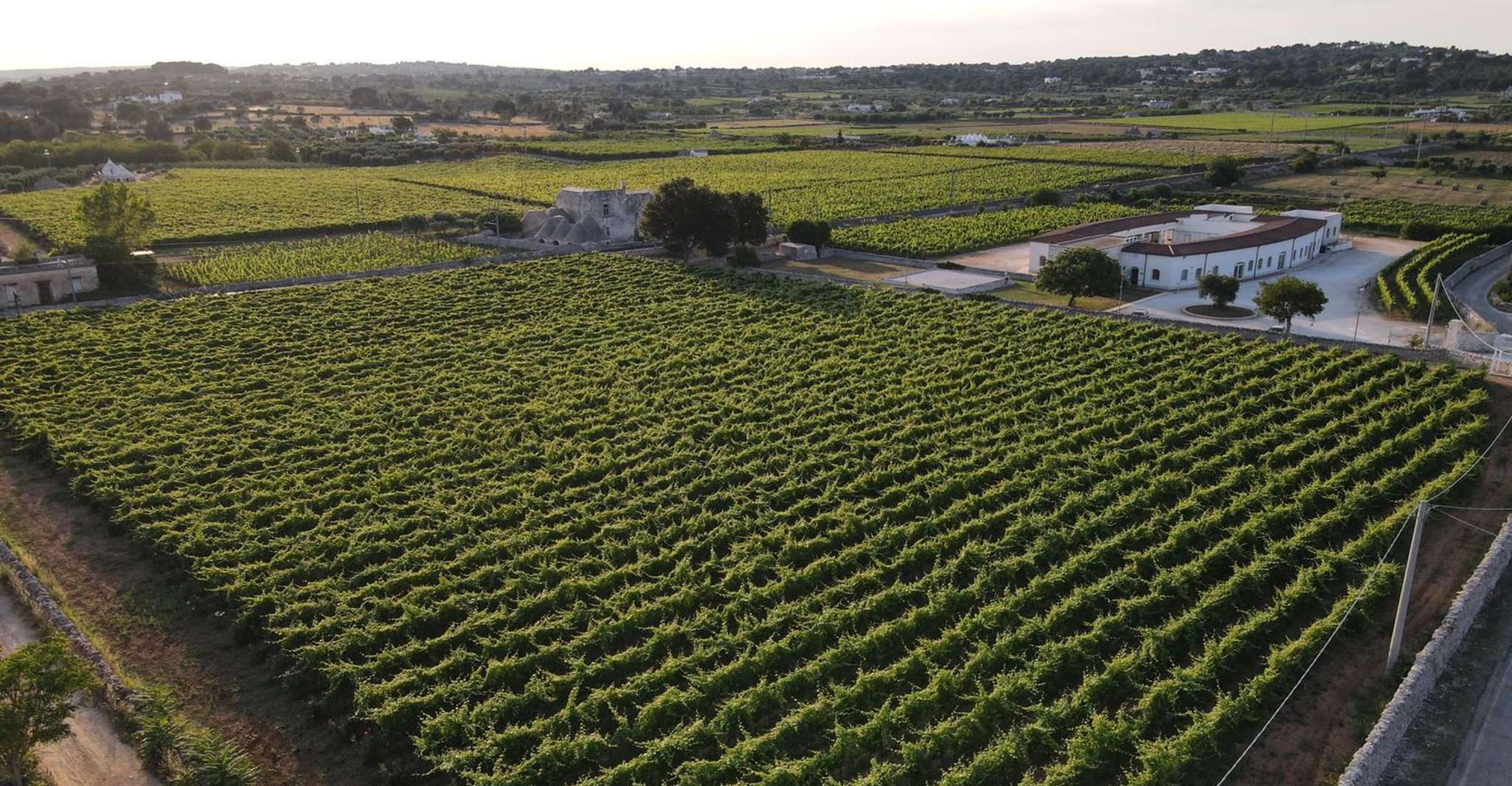 Martina Franca, Degustazione di Vino &amp; Prodotti Locali - Hizvo
