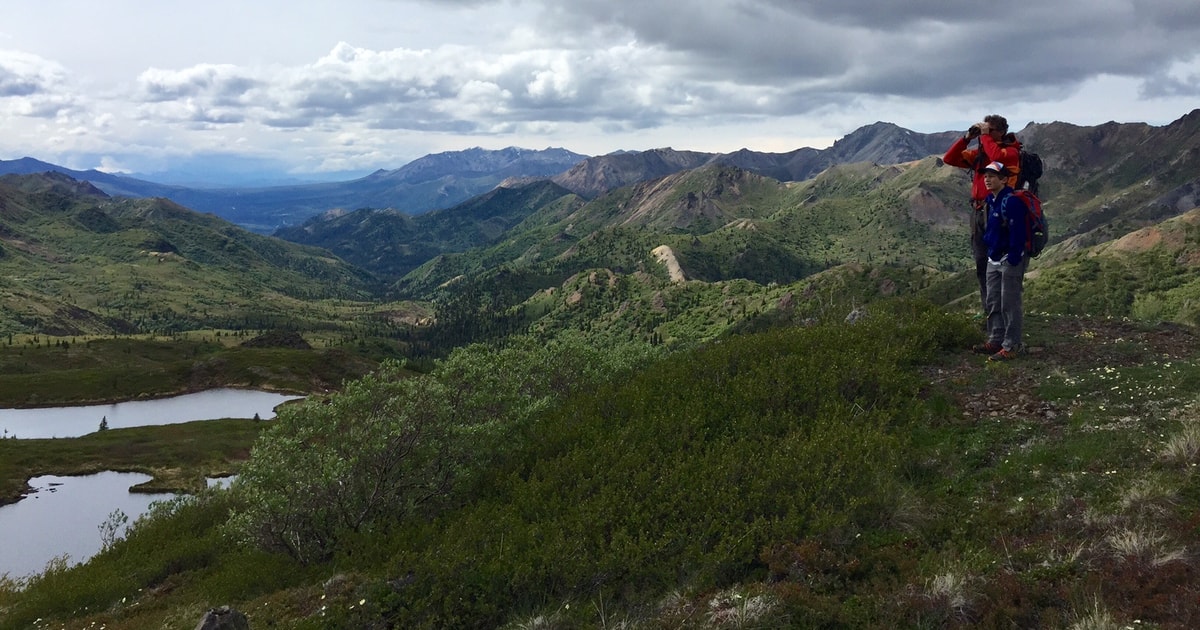 denali national park tour guide